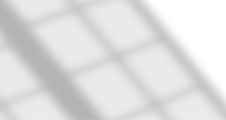 Realistic blurred natural light leaves, palm and window shadow overlay on wall paper or frames texture, abstract background, summer, spring, autumn for product presentation podium and mockup seasonal.