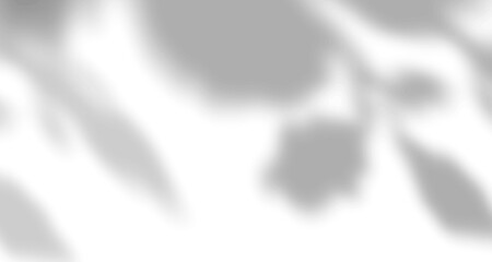 Realistic blurred natural light leaves, palm and window shadow overlay on wall paper or frames texture, abstract background, summer, spring, autumn for product presentation podium and mockup seasonal.