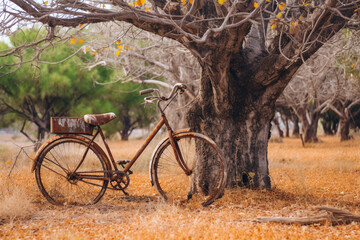 Fototapeta na wymiar old leaning bicycle background
