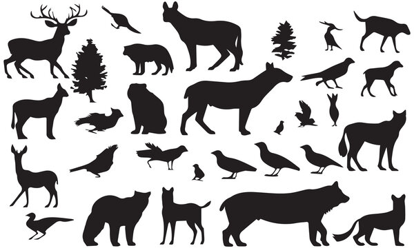 A set of black and white animal vector collection.