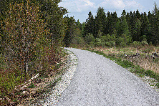 gravel bike trail through a wooded area near swamp on the lamoille valley rail train in vermont (cycling, walking, pedestrian path)