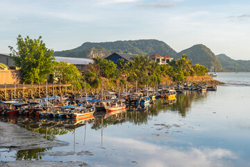 Fototapete bei efototapeten.de bestellen   