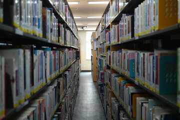 Interior of a library with books on both sides