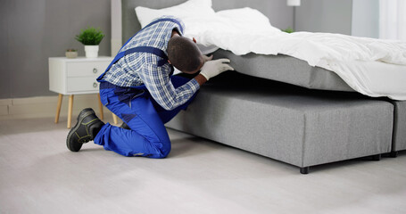 Bed Bug Infestation And Treatment Service