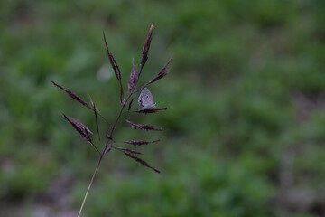 沖縄本島の景色