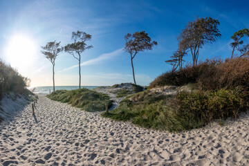 Darsser Weststrand an der Ostsee.