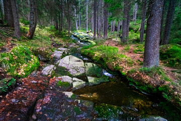 Small Arbersee on the slope of Mount Arber in the Bavarian Forest. Bavaria. Germany.