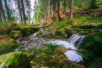 Small Arbersee on the slope of Mount Arber in the Bavarian Forest. Bavaria. Germany.