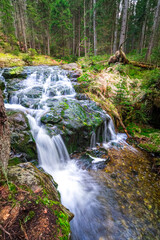 Small Arbersee on the slope of Mount Arber in the Bavarian Forest. Bavaria. Germany.