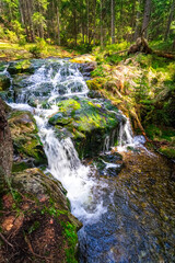 Small Arbersee on the slope of Mount Arber in the Bavarian Forest. Bavaria. Germany.