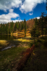 Small Arbersee on the slope of Mount Arber in the Bavarian Forest. Bavaria. Germany.