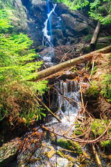 Small Arbersee on the slope of Mount Arber in the Bavarian Forest. Bavaria. Germany.