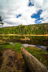Small Arbersee on the slope of Mount Arber in the Bavarian Forest. Bavaria. Germany.