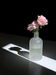 pink rose in a glass vase