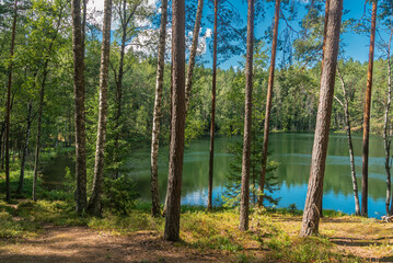 Forest lake Velnezers or Chertoks (Latvian: Čertoks) in Latgale region, Latvia