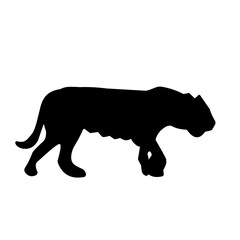 Tiger Silhouette Vector 