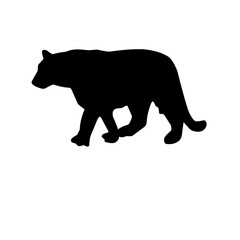 Tiger Silhouette Vector 