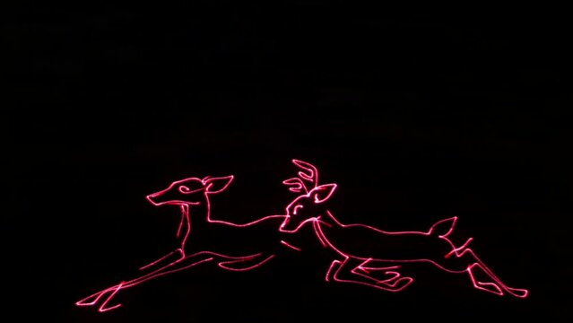 Animation video with 2 deer jumping to the left. The drawing is made with a pink line.
