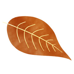 autumn leaf
