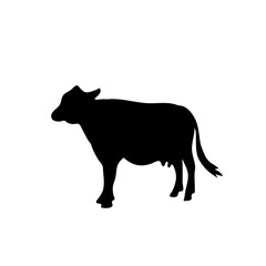 Obraz na płótnie Canvas Black silhouette cow