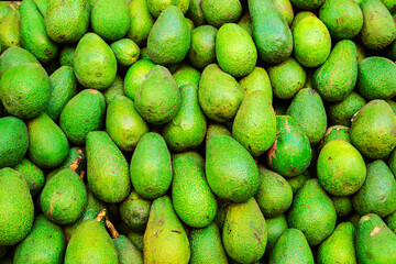 Lots of ripe avocados on the counter.