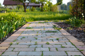 Walkway in the garden with green grass growing on the sidewalk.
Chodnik w ogrodzie z zieloną trawą rosnącą na chodniku. - obrazy, fototapety, plakaty