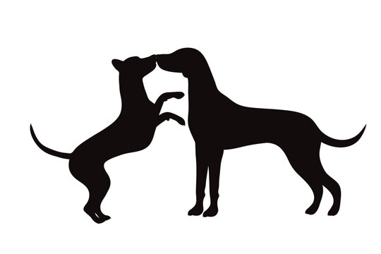 Vector silhouette of couple of dogs on white background.