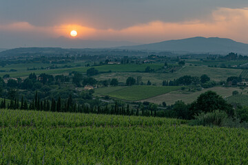 Fototapeta na wymiar Setting sun breaks through clouds over vineyards in Tuscany region of Italy.