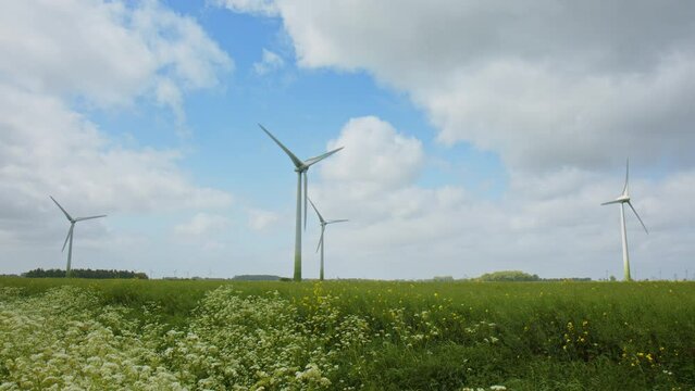 Wind Turbines on a field in East Frisia on a windy summer day in 2023. Cow Parsley moving in the wind in the foreground