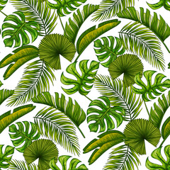 Tropical leaf seamless pattern. Colorful vivid print with beautiful palm jungle leaves. Repeated luxury design for packaging, cosmetic, fashion, textile, wallpaper. Realistic high quality illustration