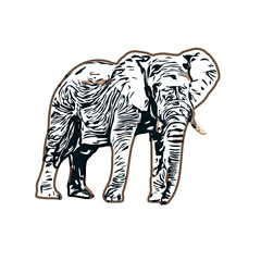 sketch of an elephant with transparent background