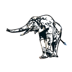 sketch of an elephant with transparent background