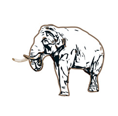 sketch of an elephant with transparent background