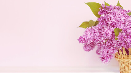 a bouquet of lilacs in a basket on a pink background. a postcard with a bouquet of lilacs. background with lilac flowers.