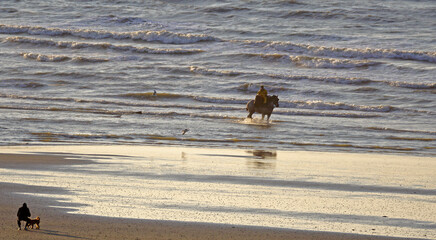 Krabbenfischer zu Pferde