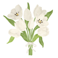 White tulip watercolor illustration