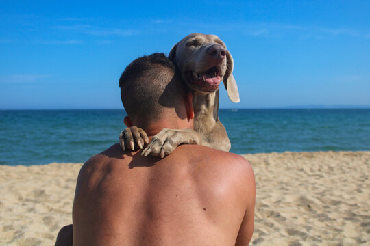tender hug between dog and his master on the beach