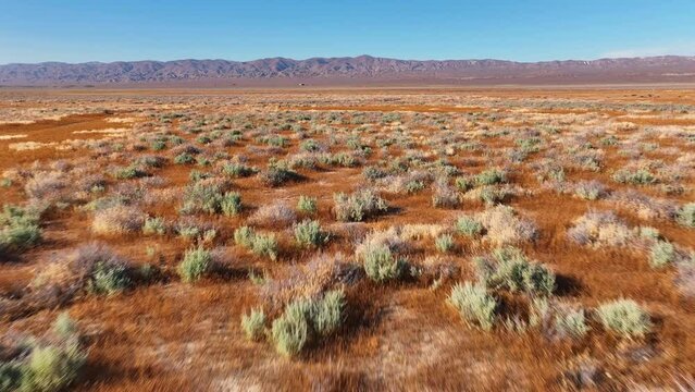 Aerial California Desert Landscape Carrrizo Plain Drone