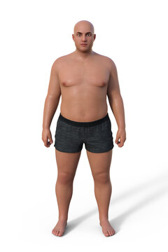 A 3D illustration of a male body with an endomorph body type