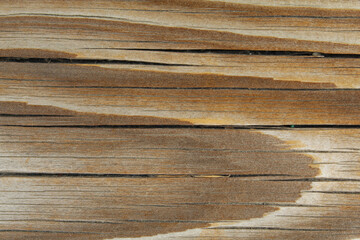 texture of wood. background texture of old wood