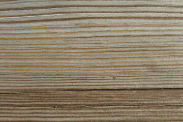 texture of wood. background texture of old wood