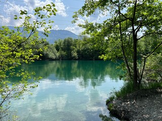 Summer atmosphere in the Old Rhine Nature Park, Lustenau (Austria) - Vorfr&uuml;hlings Stimmung im Naturpark Alter Rhein oder Naturpark am Alten Rhein, Lustenau - &Ouml;sterreich (Osterreich or Oesterreich)