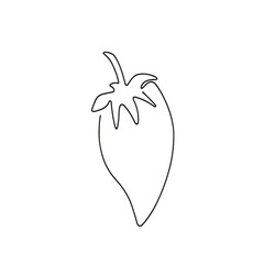 illustration of a tomato