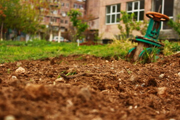 farmer working in the field