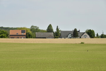 Champs près d'un hameau au printemps à Braine-le-Comte © Photocolorsteph