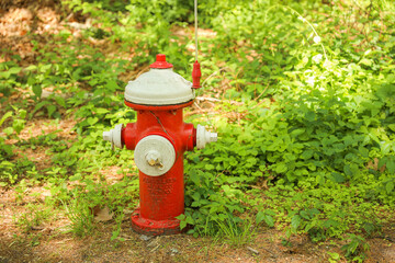 Fototapeta na wymiar Fire hydrants symbolize safety, emergency response, and firefighting. They represent preparedness, the presence of water supply for firefighting purposes, and the importance of public safety