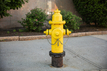 Fire hydrants symbolize safety, emergency response, and firefighting. They represent preparedness, the presence of water supply for firefighting purposes, and the importance of public safety