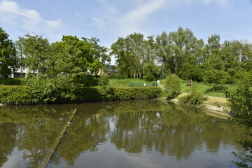 V&eacute;g&eacute;tation sauvage autour d'un bassin d'orage au parc des Etangs Joseph Martel &agrave; Braine-le-Comte 