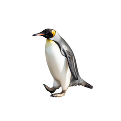 Fototapeta na wymiar penguin on transparent background