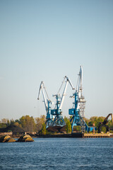 Fototapeta premium Larger cranes in the port, cranes load bulk materials. The work of cranes in the seaport